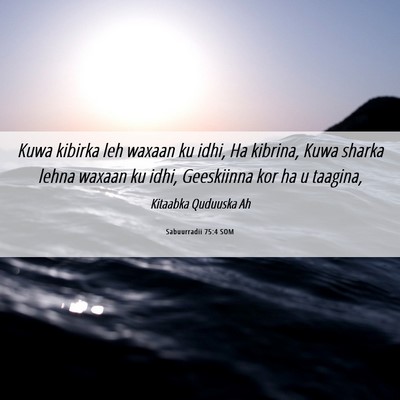 Picture 06 - Sabuurradii 75:4 SOM - Kuwa kibirka leh waxaan ku idhi, Ha kibrina, Kuwa - Bible Verse Picture