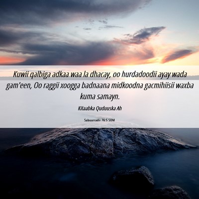 Picture 06 - Sabuurradii 76:5 SOM - Kuwii qalbiga adkaa waa la dhacay, oo hurdadoodii - Bible Verse Picture