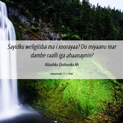 Picture 06 - Sabuurradii 77:7 SOM - Sayidku weligiisba ma i xoorayaa? Oo miyaanu mar - Bible Verse Picture