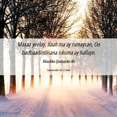 Picture 06 - Sabuurradii 78:22 SOM - Maxaa yeelay, Ilaah ma ay rumaysan, Oo - Bible Verse Picture