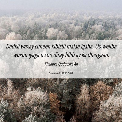 Picture 06 - Sabuurradii 78:25 SOM - Dadkii waxay cuneen kibistii malaa'igaha, Oo - Bible Verse Picture