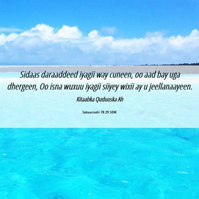 Picture 06 - Sabuurradii 78:29 SOM - Sidaas daraaddeed iyagii way cuneen, oo aad bay - Bible Verse Picture