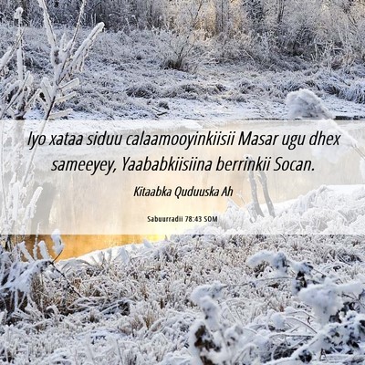 Picture 06 - Sabuurradii 78:43 SOM - Iyo xataa siduu calaamooyinkiisii Masar ugu dhex - Bible Verse Picture