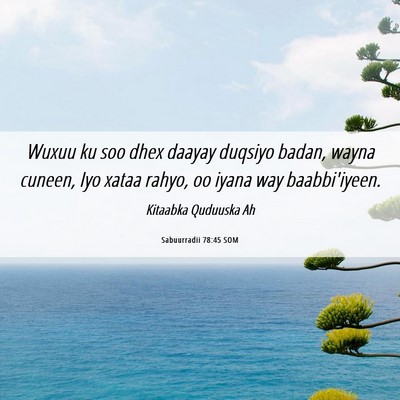 Picture 06 - Sabuurradii 78:45 SOM - Wuxuu ku soo dhex daayay duqsiyo badan, wayna - Bible Verse Picture