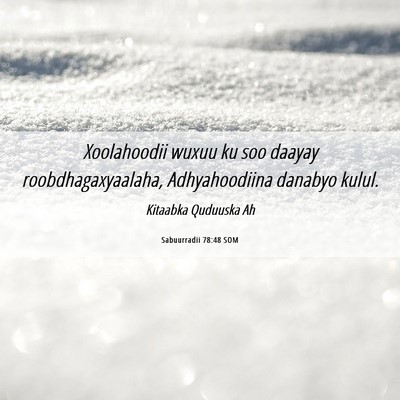 Picture 06 - Sabuurradii 78:48 SOM - Xoolahoodii wuxuu ku soo daayay - Bible Verse Picture
