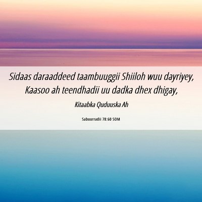 Picture 06 - Sabuurradii 78:60 SOM - Sidaas daraaddeed taambuuggii Shiiloh wuu - Bible Verse Picture