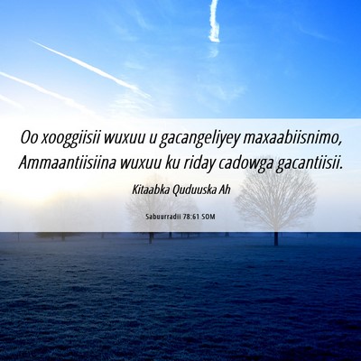 Picture 06 - Sabuurradii 78:61 SOM - Oo xooggiisii wuxuu u gacangeliyey maxaabiisnimo, - Bible Verse Picture