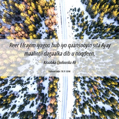 Picture 06 - Sabuurradii 78:9 SOM - Reer Efrayim iyagoo hub iyo qaansooyin sita Ayay - Bible Verse Picture