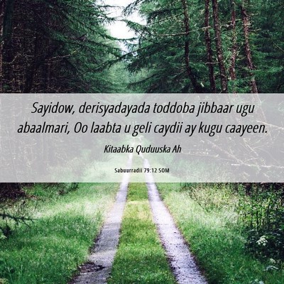 Picture 06 - Sabuurradii 79:12 SOM - Sayidow, derisyadayada toddoba jibbaar ugu - Bible Verse Picture