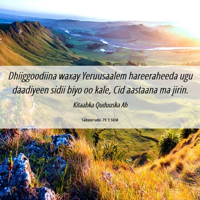 Picture 06 - Sabuurradii 79:3 SOM - Dhiiggoodiina waxay Yeruusaalem hareeraheeda ugu - Bible Verse Picture