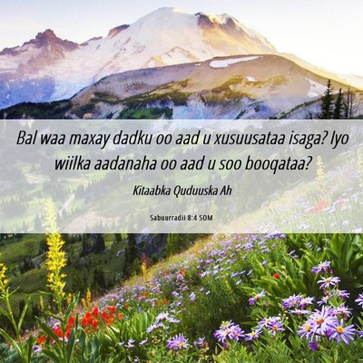 Picture 06 - Sabuurradii 8:4 SOM - Bal waa maxay dadku oo aad u xusuusataa isaga? - Bible Verse Picture
