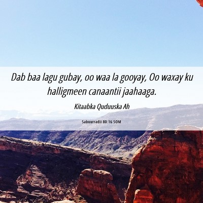 Picture 06 - Sabuurradii 80:16 SOM - Dab baa lagu gubay, oo waa la gooyay, Oo waxay ku - Bible Verse Picture
