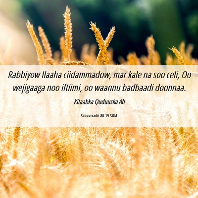 Picture 06 - Sabuurradii 80:19 SOM - Rabbiyow Ilaaha ciidammadow, mar kale na soo - Bible Verse Picture