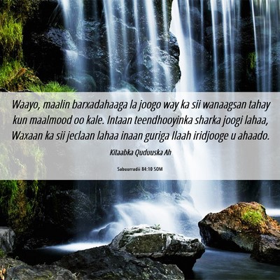 Picture 06 - Sabuurradii 84:10 SOM - Waayo, maalin barxadahaaga la joogo way ka sii - Bible Verse Picture