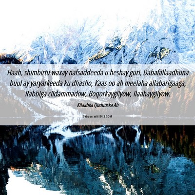 Picture 06 - Sabuurradii 84:3 SOM - Haah, shimbirtu waxay nafsaddeeda u heshay guri, - Bible Verse Picture