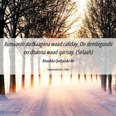 Picture 06 - Sabuurradii 85:2 SOM - Xumaantii dadkaagana waad cafiday, Oo dembigoodii - Bible Verse Picture