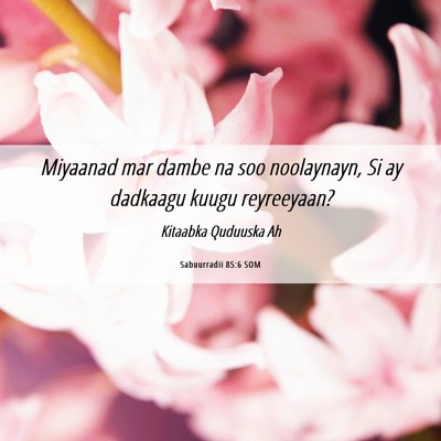 Picture 06 - Sabuurradii 85:6 SOM - Miyaanad mar dambe na soo noolaynayn, Si ay - Bible Verse Picture