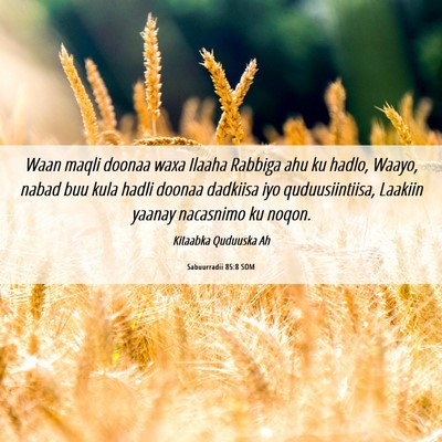 Picture 06 - Sabuurradii 85:8 SOM - Waan maqli doonaa waxa Ilaaha Rabbiga ahu ku - Bible Verse Picture
