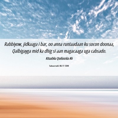 Picture 06 - Sabuurradii 86:11 SOM - Rabbiyow, jidkaaga i bar, oo anna runtaadaan ku - Bible Verse Picture