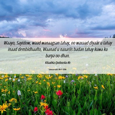 Picture 06 - Sabuurradii 86:5 SOM - Waayo, Sayidow, waad wanaagsan tahay, oo waxaad - Bible Verse Picture