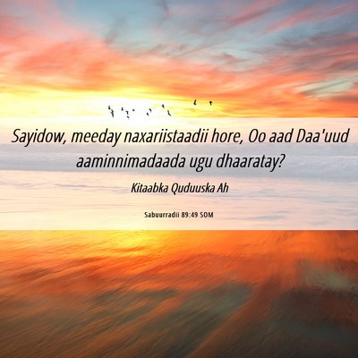 Picture 06 - Sabuurradii 89:49 SOM - Sayidow, meeday naxariistaadii hore, Oo aad - Bible Verse Picture