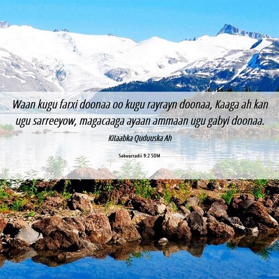 Picture 06 - Sabuurradii 9:2 SOM - Waan kugu farxi doonaa oo kugu rayrayn doonaa, - Bible Verse Picture