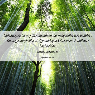 Picture 06 - Sabuurradii 9:6 SOM - Cadaawayaashii way dhammaadeen, oo weligoodba waa - Bible Verse Picture