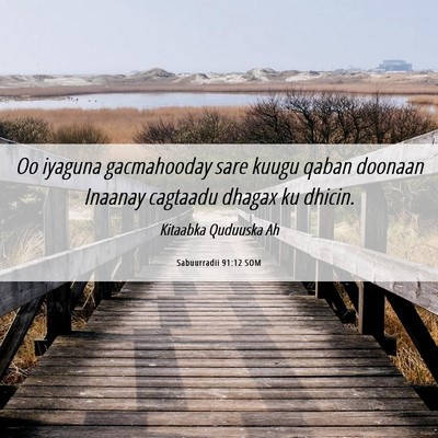 Picture 06 - Sabuurradii 91:12 SOM - Oo iyaguna gacmahooday sare kuugu qaban doonaan - Bible Verse Picture