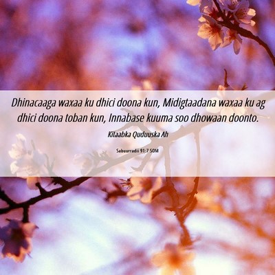Picture 06 - Sabuurradii 91:7 SOM - Dhinacaaga waxaa ku dhici doona kun, Midigtaadana - Bible Verse Picture