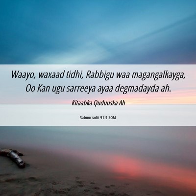 Picture 06 - Sabuurradii 91:9 SOM - Waayo, waxaad tidhi, Rabbigu waa magangalkayga, - Bible Verse Picture