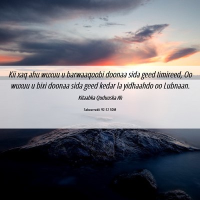 Picture 06 - Sabuurradii 92:12 SOM - Kii xaq ahu wuxuu u barwaaqoobi doonaa sida geed - Bible Verse Picture