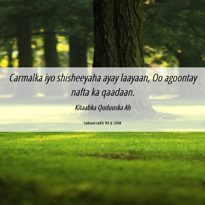 Picture 06 - Sabuurradii 94:6 SOM - Carmalka iyo shisheeyaha ayay laayaan, Oo - Bible Verse Picture