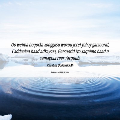 Picture 06 - Sabuurradii 99:4 SOM - Oo weliba boqorka xooggiisu wuxuu jecel yahay - Bible Verse Picture