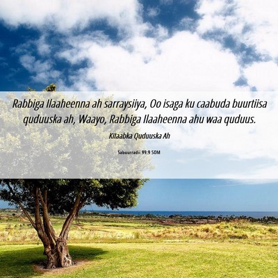 Picture 06 - Sabuurradii 99:9 SOM - Rabbiga Ilaaheenna ah sarraysiiya, Oo isaga ku - Bible Verse Picture