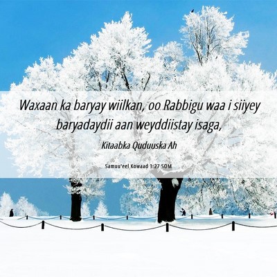 Picture 06 - Samuu'eel Kowaad 1:27 SOM - Waxaan ka baryay wiilkan, oo Rabbigu waa i siiyey - Bible Verse Picture