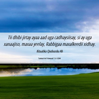 Picture 06 - Samuu'eel Kowaad 1:6 SOM - Tii dhibi jirtay ayaa aad uga cadhaysiisay, si ay - Bible Verse Picture