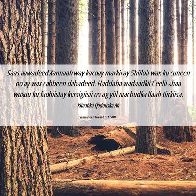 Picture 06 - Samuu'eel Kowaad 1:9 SOM - Saas aawadeed Xannaah way kacday markii ay - Bible Verse Picture