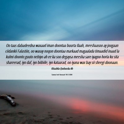 Picture 06 - Samuu'eel Kowaad 10:5 SOM - Oo taas dabadeedna waxaad iman doontaa buurta - Bible Verse Picture