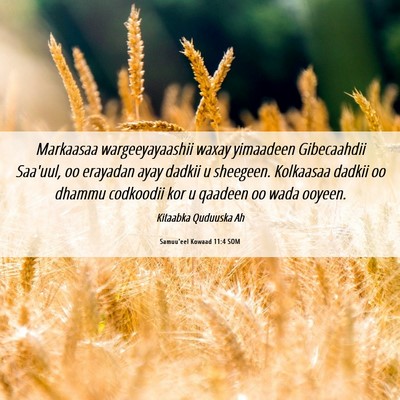 Picture 06 - Samuu'eel Kowaad 11:4 SOM - Markaasaa wargeeyayaashii waxay yimaadeen - Bible Verse Picture