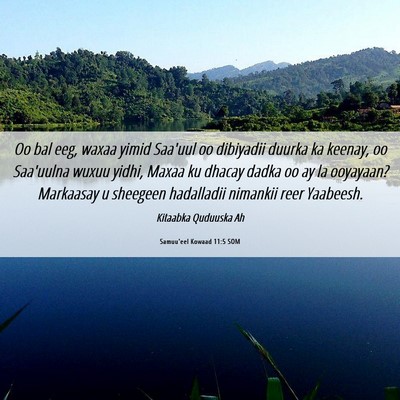 Picture 06 - Samuu'eel Kowaad 11:5 SOM - Oo bal eeg, waxaa yimid Saa'uul oo dibiyadii - Bible Verse Picture
