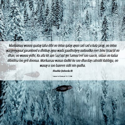 Picture 06 - Samuu'eel Kowaad 11:7 SOM - Markaasuu wuxuu qaatay laba dibi oo intuu qalay - Bible Verse Picture