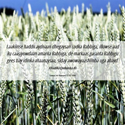 Picture 06 - Samuu'eel Kowaad 12:15 SOM - Laakiinse haddii aydnaan dhegaysan codka Rabbiga, - Bible Verse Picture