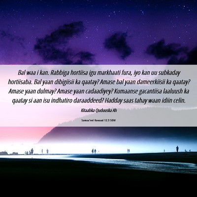 Picture 06 - Samuu'eel Kowaad 12:3 SOM - Bal waa i kan. Rabbiga hortiisa igu markhaati - Bible Verse Picture
