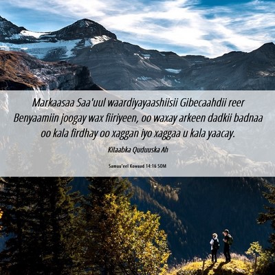 Picture 06 - Samuu'eel Kowaad 14:16 SOM - Markaasaa Saa'uul waardiyayaashiisii Gibecaahdii - Bible Verse Picture