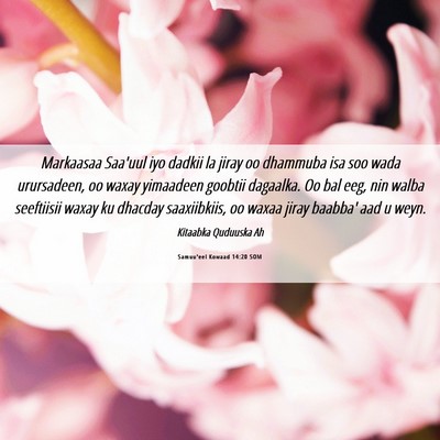 Picture 06 - Samuu'eel Kowaad 14:20 SOM - Markaasaa Saa'uul iyo dadkii la jiray oo dhammuba - Bible Verse Picture