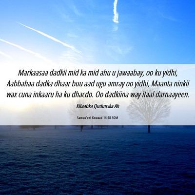 Picture 06 - Samuu'eel Kowaad 14:28 SOM - Markaasaa dadkii mid ka mid ahu u jawaabay, oo ku - Bible Verse Picture