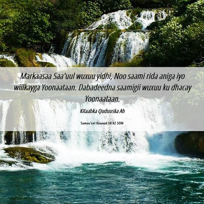 Picture 06 - Samuu'eel Kowaad 14:42 SOM - Markaasaa Saa'uul wuxuu yidhi, Noo saami rida - Bible Verse Picture