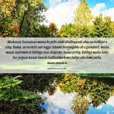 Picture 06 - Samuu'eel Kowaad 14:6 SOM - Markaasaa Yoonaataan wuxuu ku yidhi ninkii - Bible Verse Picture