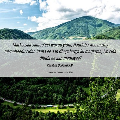 Picture 06 - Samuu'eel Kowaad 15:14 SOM - Markaasaa Samuu'eel wuxuu yidhi, Haddaba waa - Bible Verse Picture