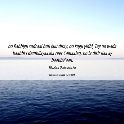 Picture 06 - Samuu'eel Kowaad 15:18 SOM - oo Rabbigu sodcaal buu kuu diray, oo kugu yidhi, - Bible Verse Picture